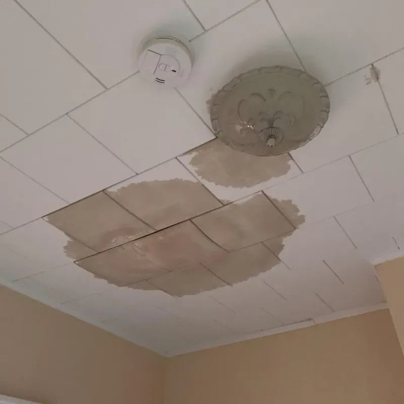 Ceiling Water Damage Repair in Republic County, KS